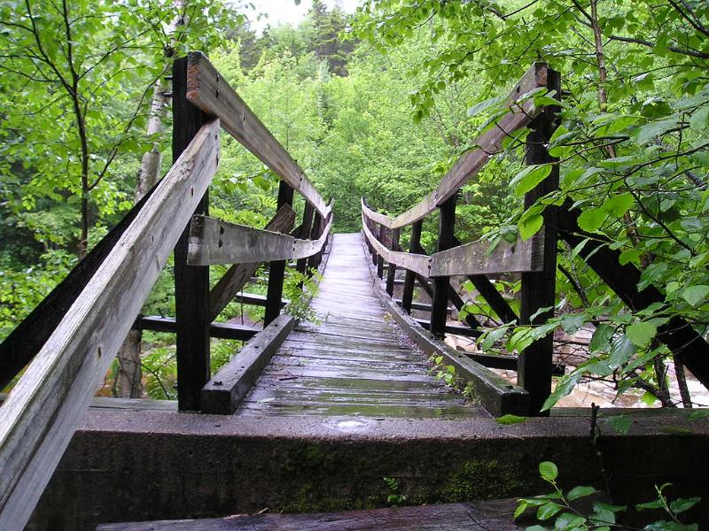 PemiBridgeHike (14).JPG - Other than being crooked, the bridge seemed pretty solid.